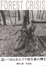 岡田 満／写真集「追いつめられたブナ原生林の輝き」